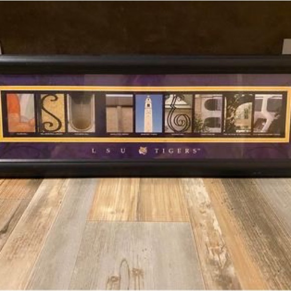 LSU Picture - Picture 2 of 3